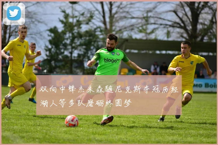双向中锋杰米森随尼克斯夺冠历经湖人等多队磨砺终圆梦